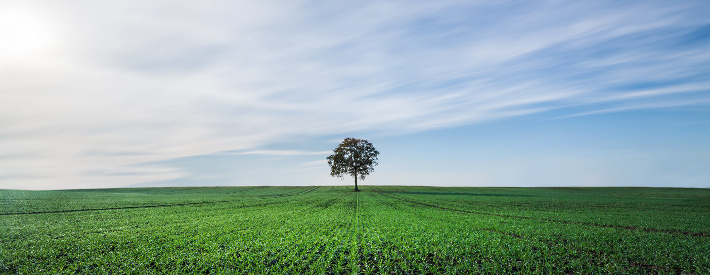 Adopt Cloud ERP Quickly and Confidently – What GROW with SAP means